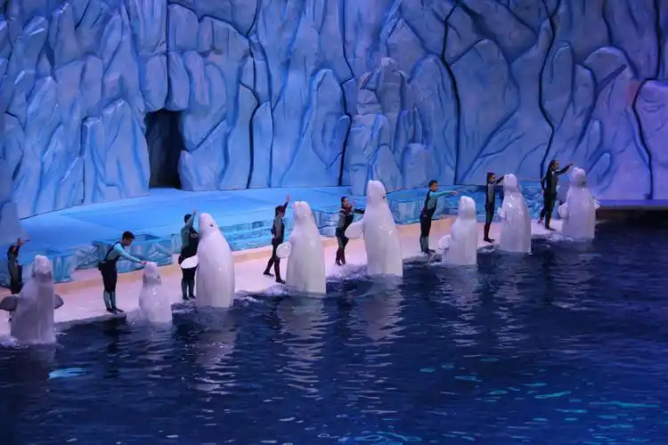 珠海长隆海洋世界