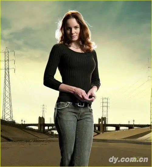 sara莎拉·韦恩·卡利斯(sarah wayne callies )饰演   照片