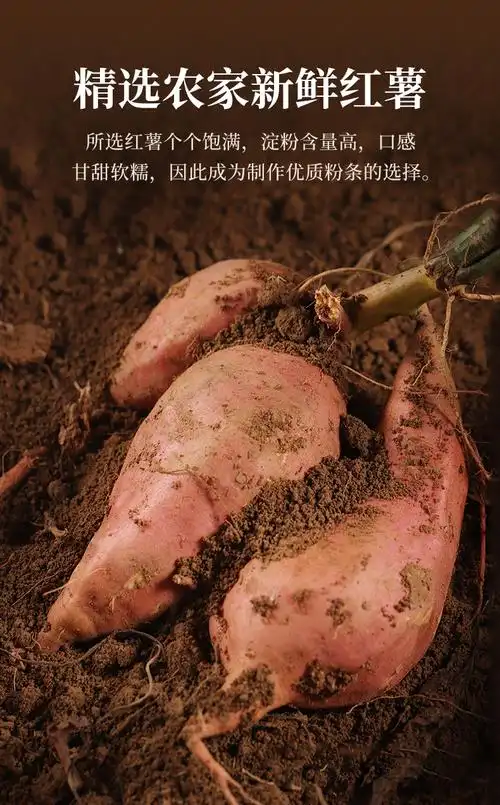 美康星(mei kang xing)米面制品 纯地王红薯粉丝200g 农家红薯地瓜