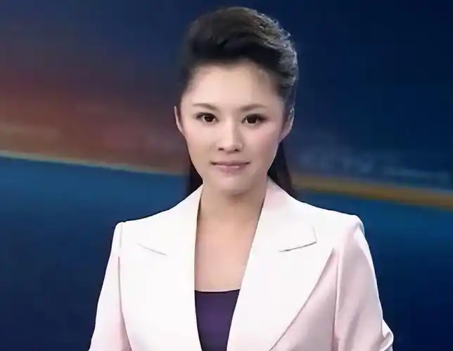 回顾央视美女主播紫凝贷款买车41岁仍未婚风光背后有泪水