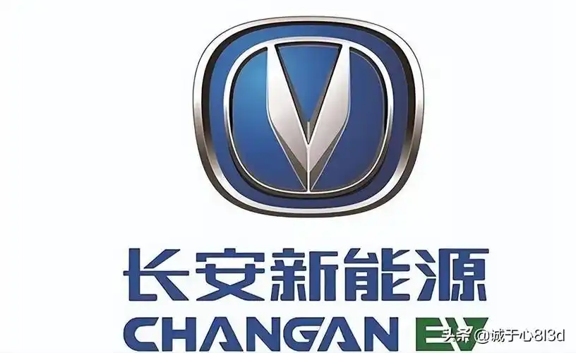 新能源汽车前十名品牌(口碑最好的10大纯电动汽车排行榜)-图10