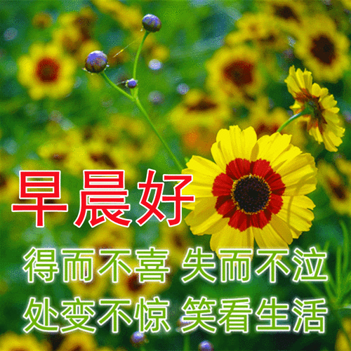 清早发朋友圈的漂亮图片带祝福语,温馨早上好祝福语录图片