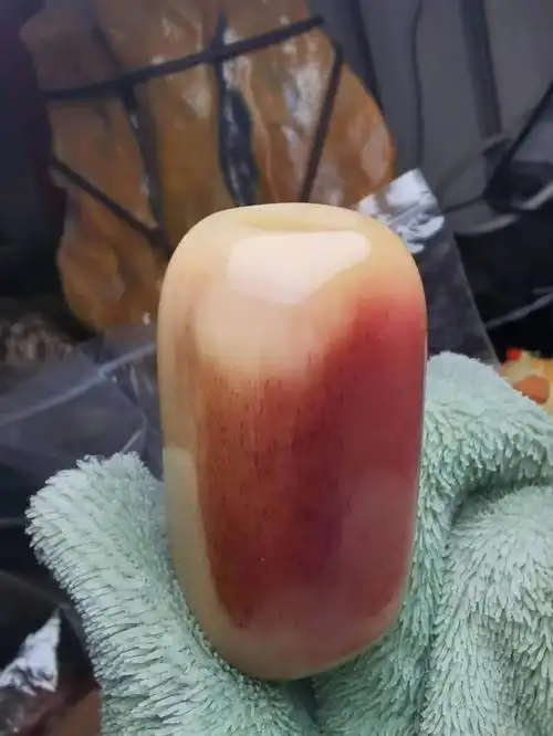 出高老板家驼骨