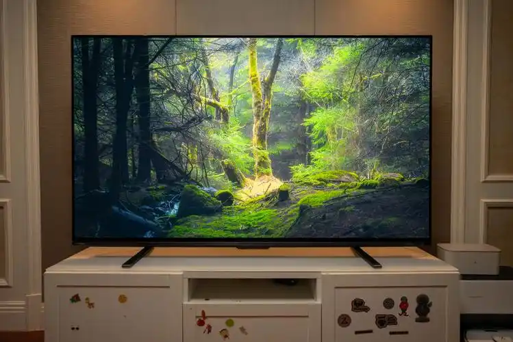 看看两万五的4k东芝x8900kf77英寸oled电视