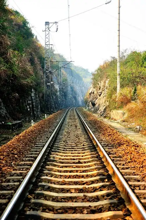 山区的铁路线 (共 7 p)