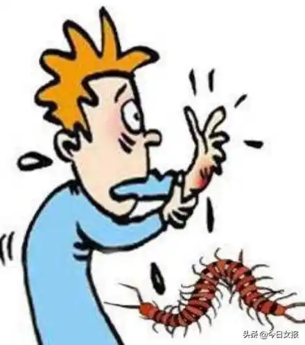 下雨蜈蚣进屋咋办?42岁男子被咬伤腹部后昏迷抢救,这个急救常识该了解