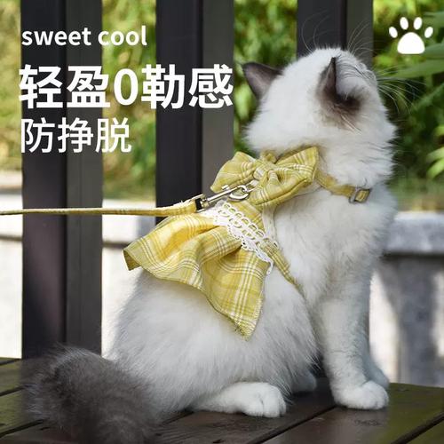 宠物猫咪牵引绳jk裙子胸背带遛猫防挣脱外出专用牵引绳子衣服用品