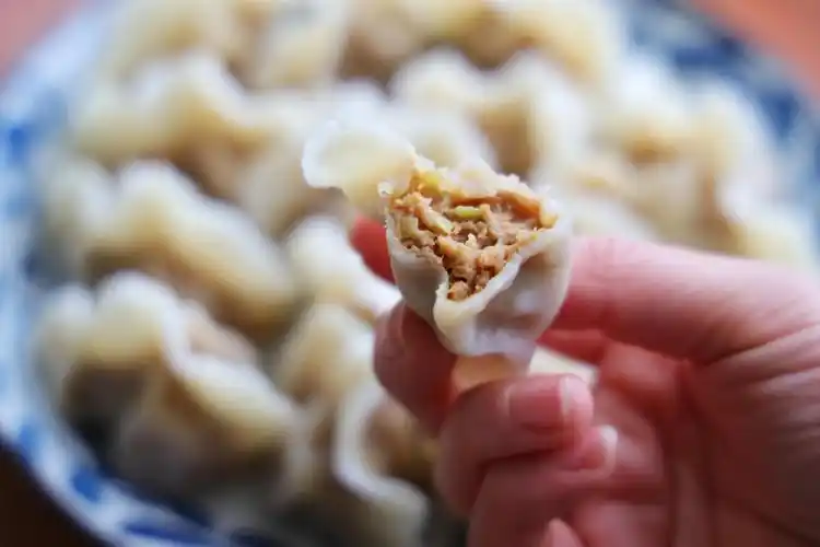 冬至要吃饺子试试猪肉大葱饺子吧看着非常精致吃起来超香