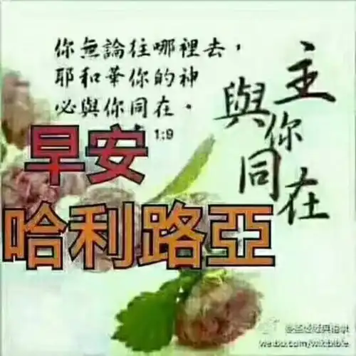 一路以仰望你