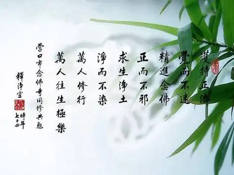 每日一禅禅语人生_佛家经典禅语_第一句子网