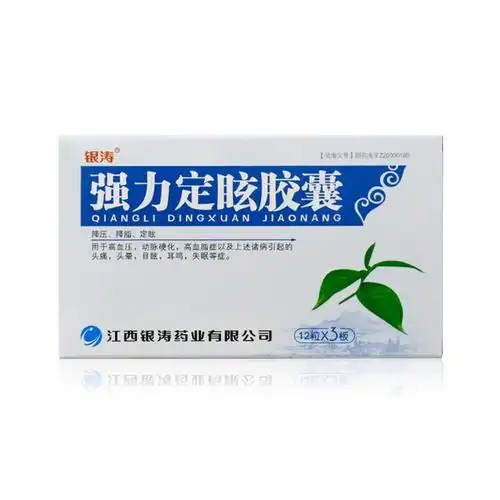 银涛 强力定眩胶囊 0.4g*12粒*3板6305