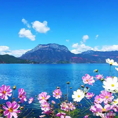 云南旅游必去景点泸沽湖景色优美,景色美的清新脱俗