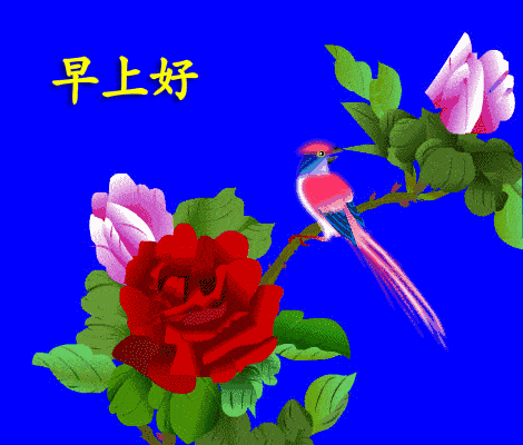 5月很美的祝福带字动态表情图片 大家早上好温馨早安问候图片