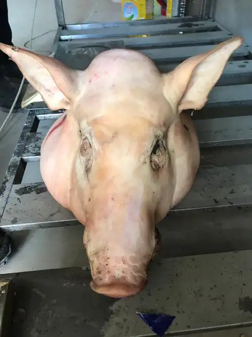 香猪整猪头