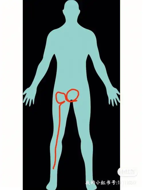 关于我尾椎骨痛屁股痛腿不舒服后续