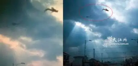 真正的龙会飞的图片