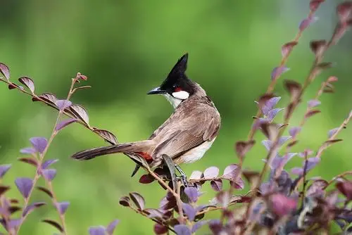 后期: man 文字: man 背景音乐:寂寞之声 ( 轻音乐 ) 备注:以上图片皆