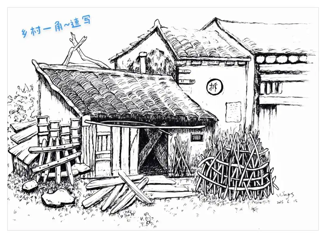 绘画96 #风景画 #速写 #线条 #建筑速写 :乡村一角 - 抖音