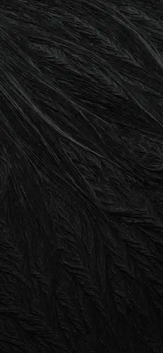 640_1385竖版 竖屏