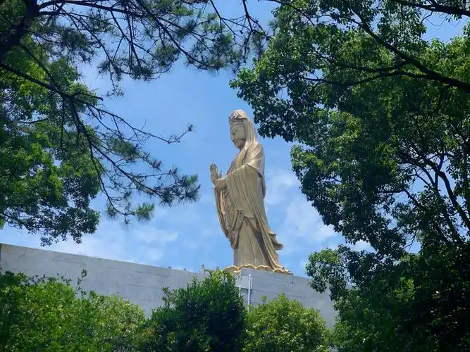 时隔六年舟山普陀山