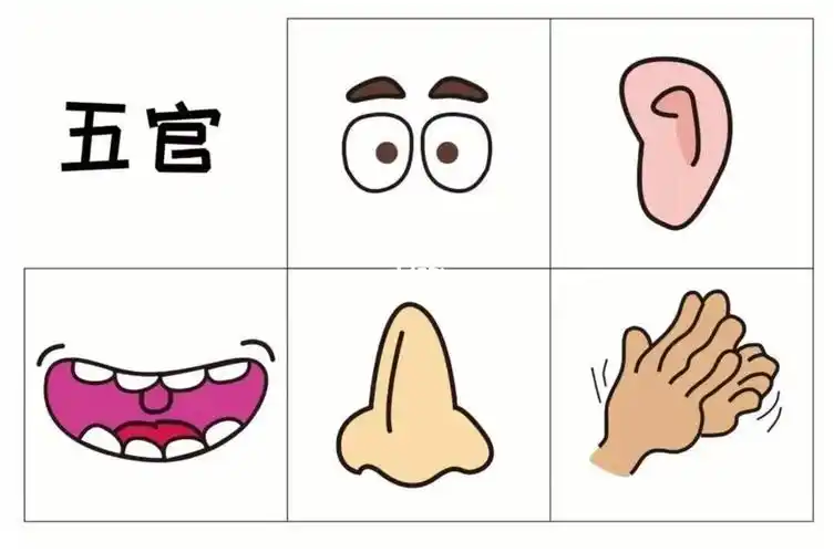 益智区五官素材