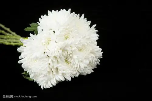 奶奶您一路走好!