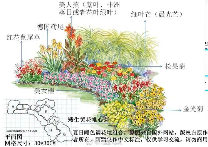 夏日暖色调花境搭配