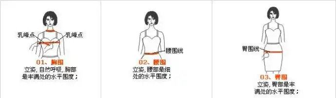 测量三围(胸围,腰围,臀围)的方法