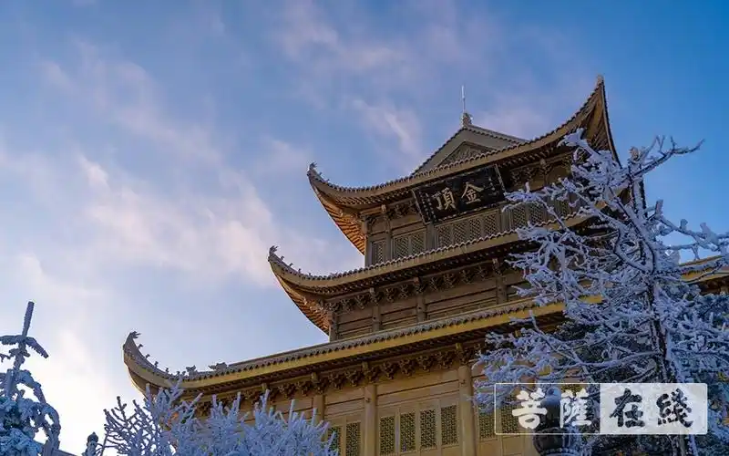 银色世界显真意 峨眉赏雪正当时 — 大菩文化