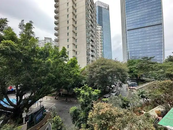 新世纪豪园306平米5房4卫客厅45米近地铁带电梯