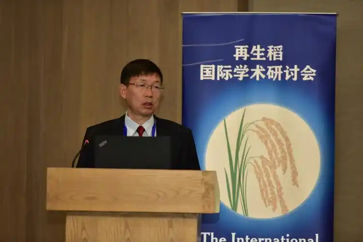 再生稻一种两收华中农业大学植物科学与技术学院教授彭少兵
