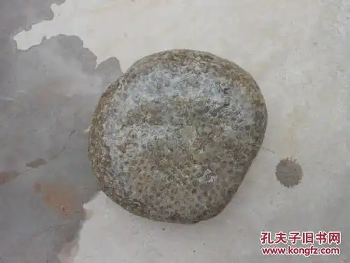 奇石天然原石晋南鱼籽石22厘米20厘米7厘米重约1350市斤