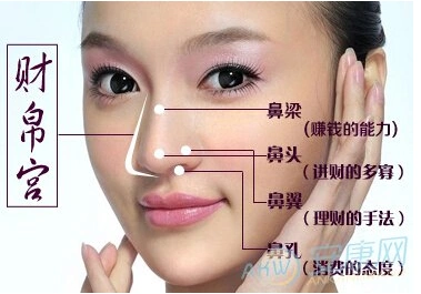 (2.如图所示↑财帛宫所属四部位鼻孔,鼻翼,鼻头,鼻梁意指)