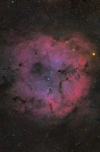 号外第三届长三角星空大会摄影比赛结果揭晓