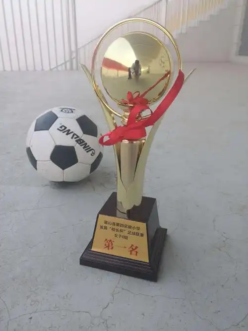 小组冠军奖杯