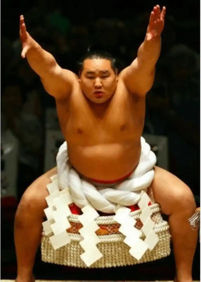 朝青龙和白鹏性格迥异,结局不同,你赞同谁的选择 尽管又很多证据表明