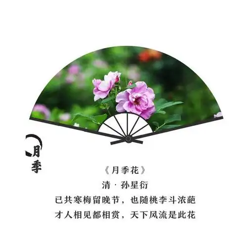 莫道花无百日红vv首发