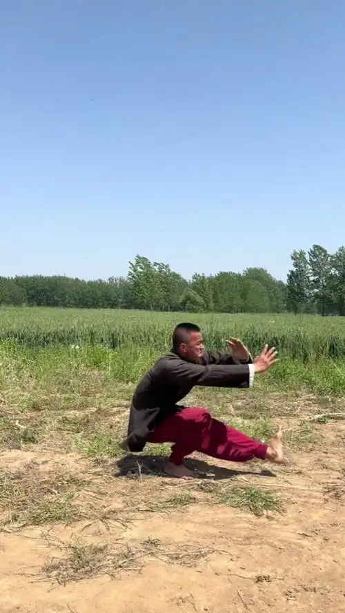 功夫农夫-叶问蹲