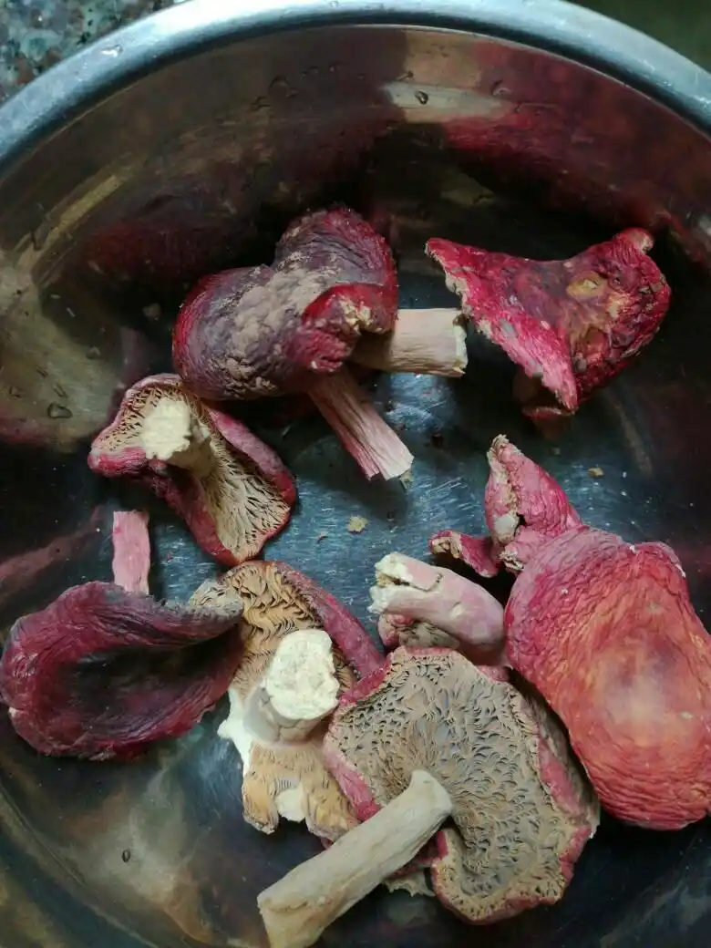 这个红菇是真的吗?