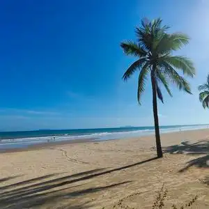 三亚私人订制游.头像