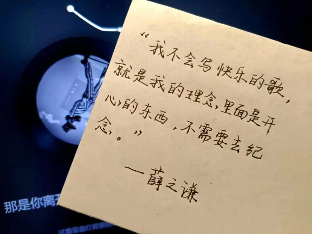 手写 #文案 #薛之谦 "开心的东西不需要去纪念." - 抖音