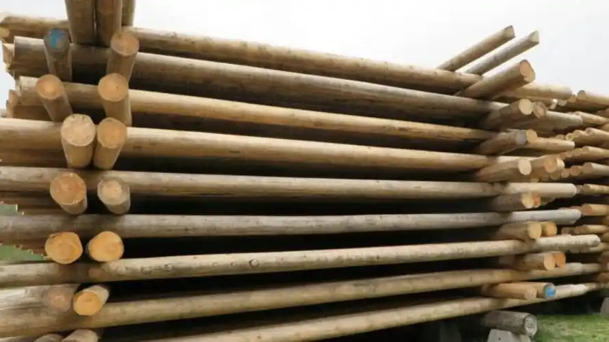 大量供应优质油木杆-防腐油木杆-河北恒天通信器材有限公司