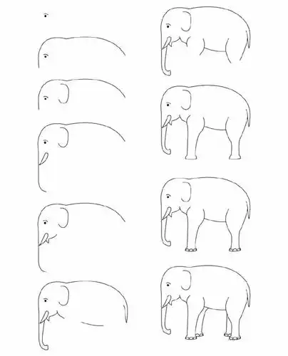 大象简笔画教程一步一步画大象