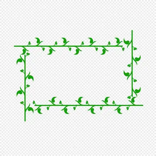 花型边框
