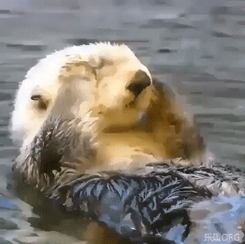 我不允许还有人没见过这样的苏芮琪