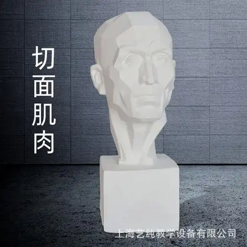 艺伯乐石膏像52cm切面肌肉美术素描教具石膏模型雕塑摆件美术用品