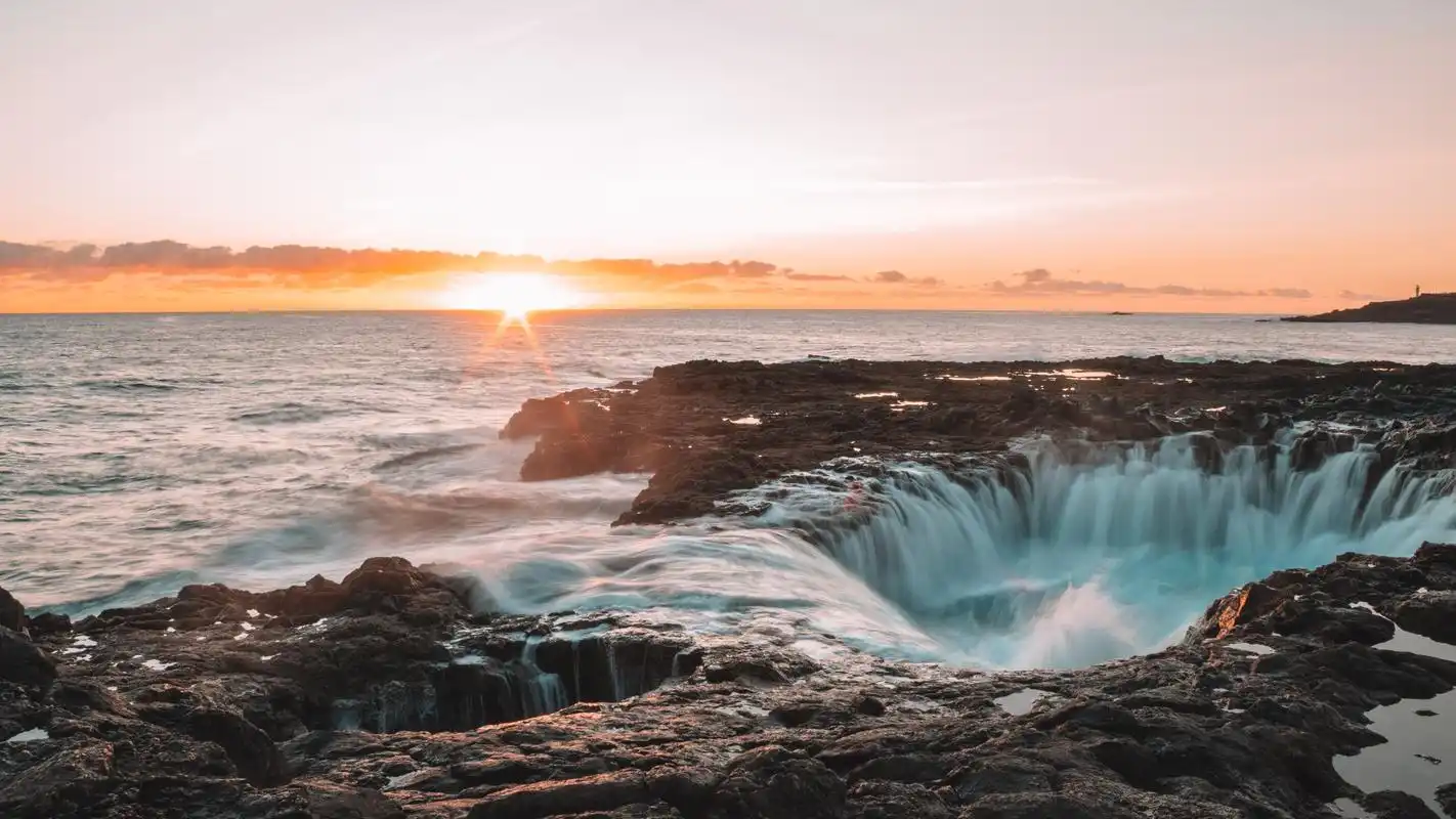 2020-06-16壁纸标签:植物自然景观4k壁纸封面图海边壁纸于2020-06-16