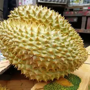 新鲜榴莲包邮图片