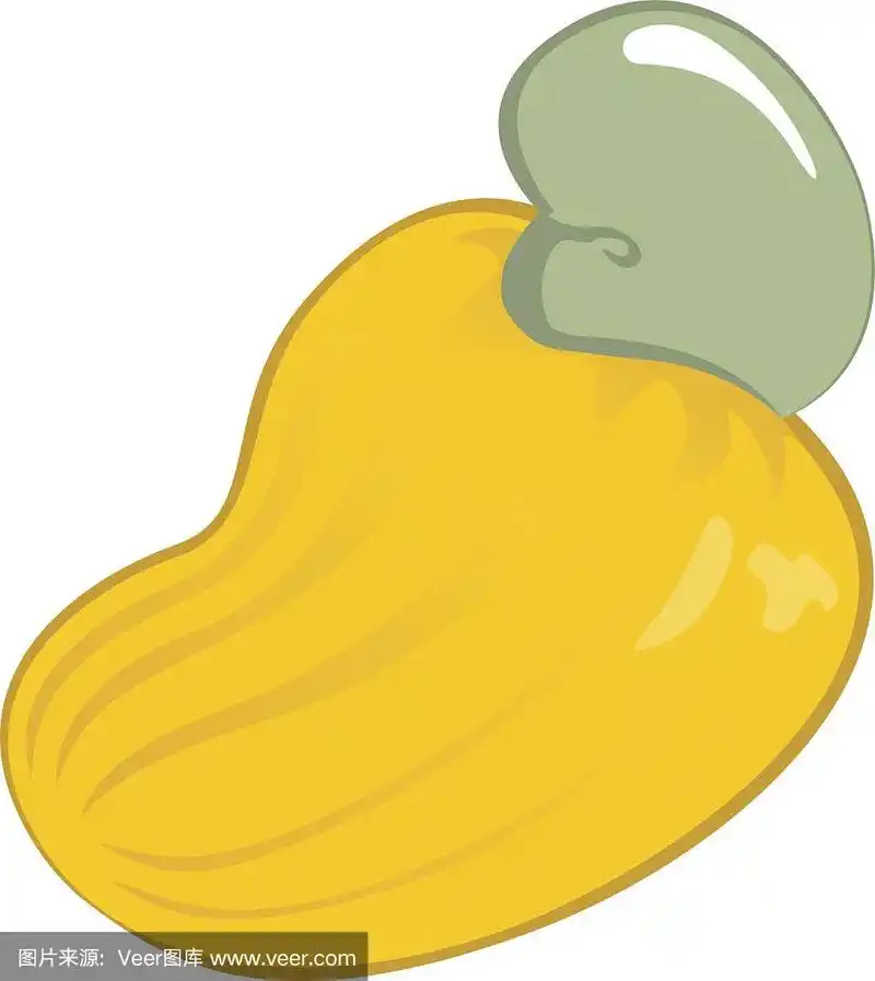 illustration of an icon cashew fruit.