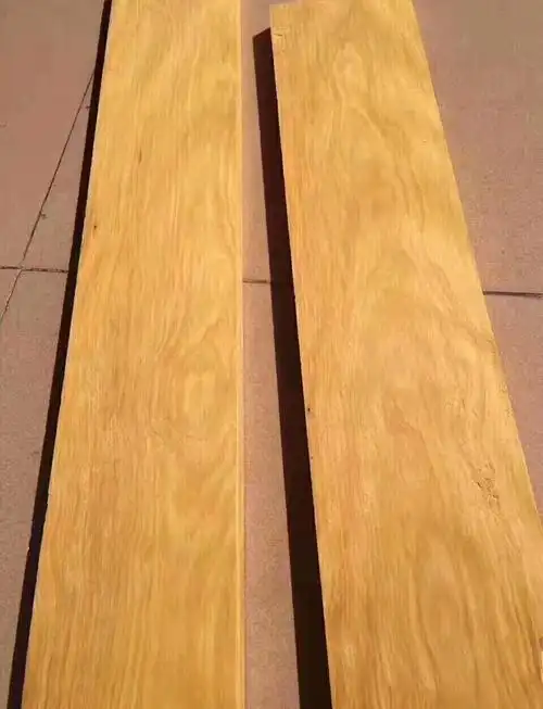 现货供应 黄金木 原木 黄金檀原木 非洲黄花梨 张家港广润木业